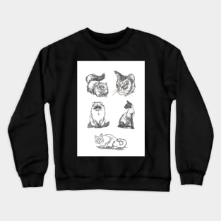 Cats greeting card by Nicole Janes Crewneck Sweatshirt